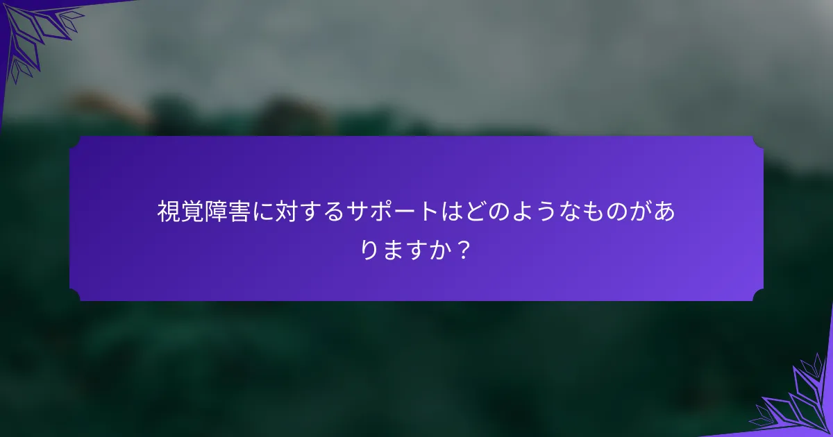 視覚障害に対するサポートはどのようなものがありますか？